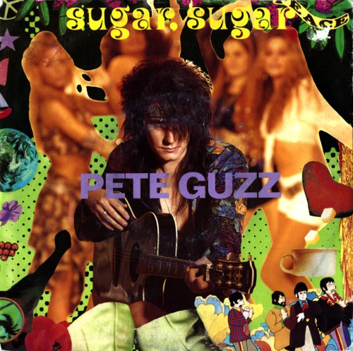 - - - covers - Pete Guzz - Sugar Sugar